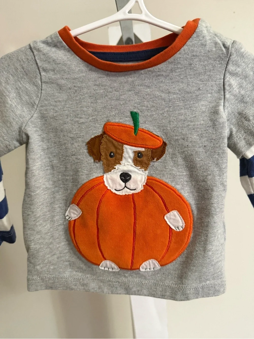 Baby Boden Dog in Pumpkin Appliqué Shirt